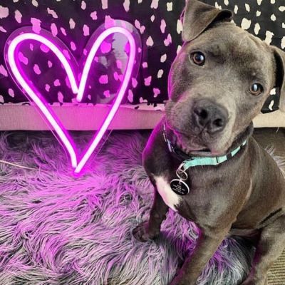 A Little Love Neon Heart Light