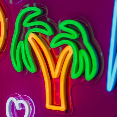 Palm Tree Neon Light