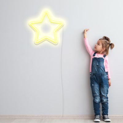 LED Neon Star Sign