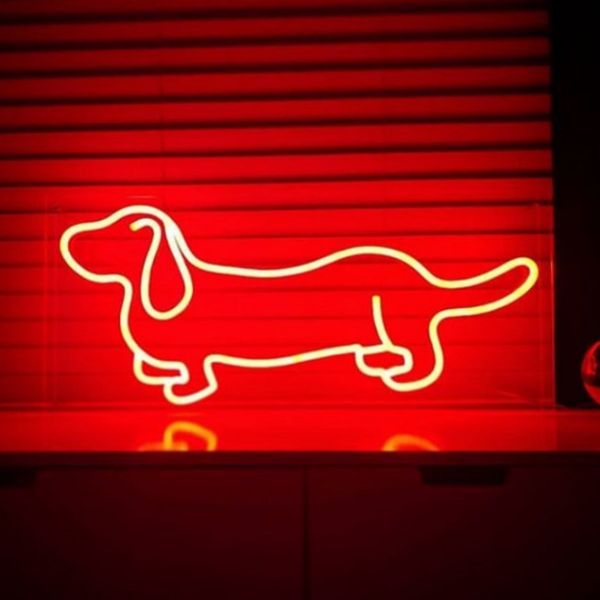 Dachshund LED Neon Art shown in red on a shelf  - from Custom Neon by Neon Collective