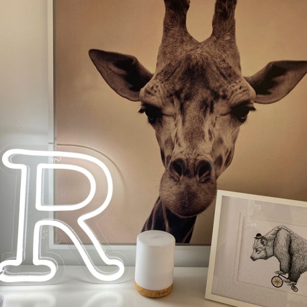 The Letter R in gorgeous LED Neon - and a friendly giraffe - photo Custom Neon (formerly Neon Collective)