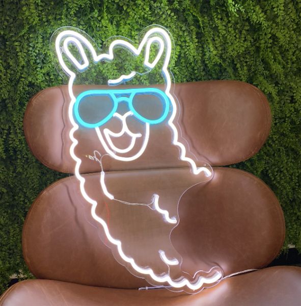 Llama neon light shown on a chair against a green wall - photo from Custom Neon (formerly Neon Collective)