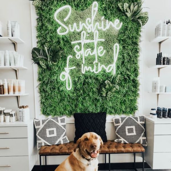 Sunshine State of Mind Neon Sign shown as wall decor in a hair salon - from CustomNeon.com.au