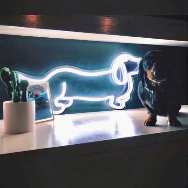 Sausage Dog Neon Art shown in white with a Dachshund pet dog - from Custom Neon by Neon Collective