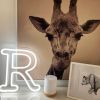 The Letter R in gorgeous LED Neon - and a friendly giraffe - photo Custom Neon (formerly Neon Collective)