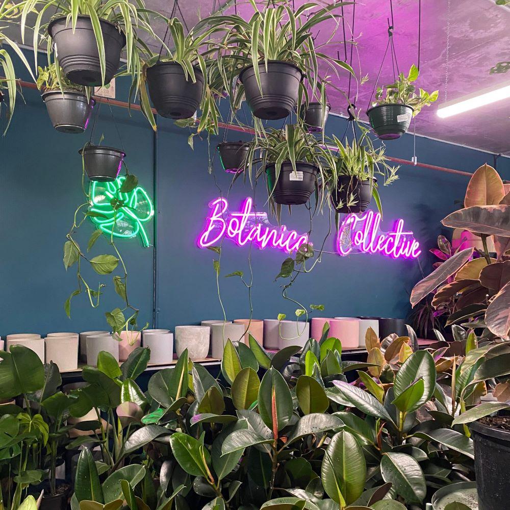 Custom Neon® pink name sign @botanicacollective