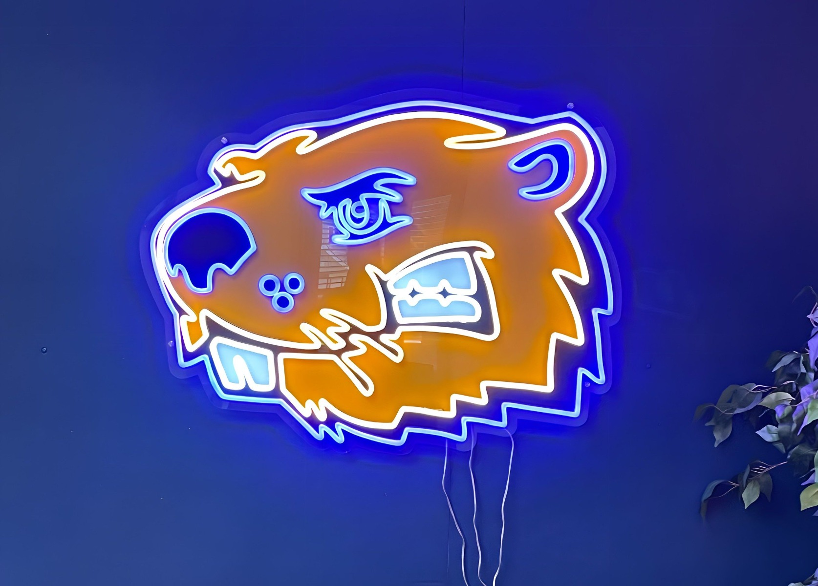BVU Beavers mascot in LED neon outline with UV print on dark blue wall - signage by Custom Neon® for @bvubeavers