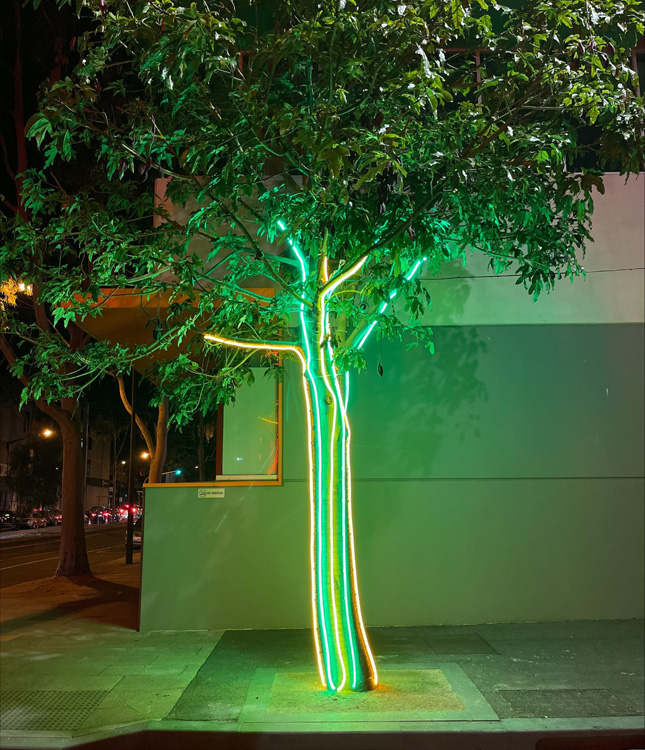 @cityofgreatergeelong pavement trees draped in colourful LED neon rope by Custom Neon®