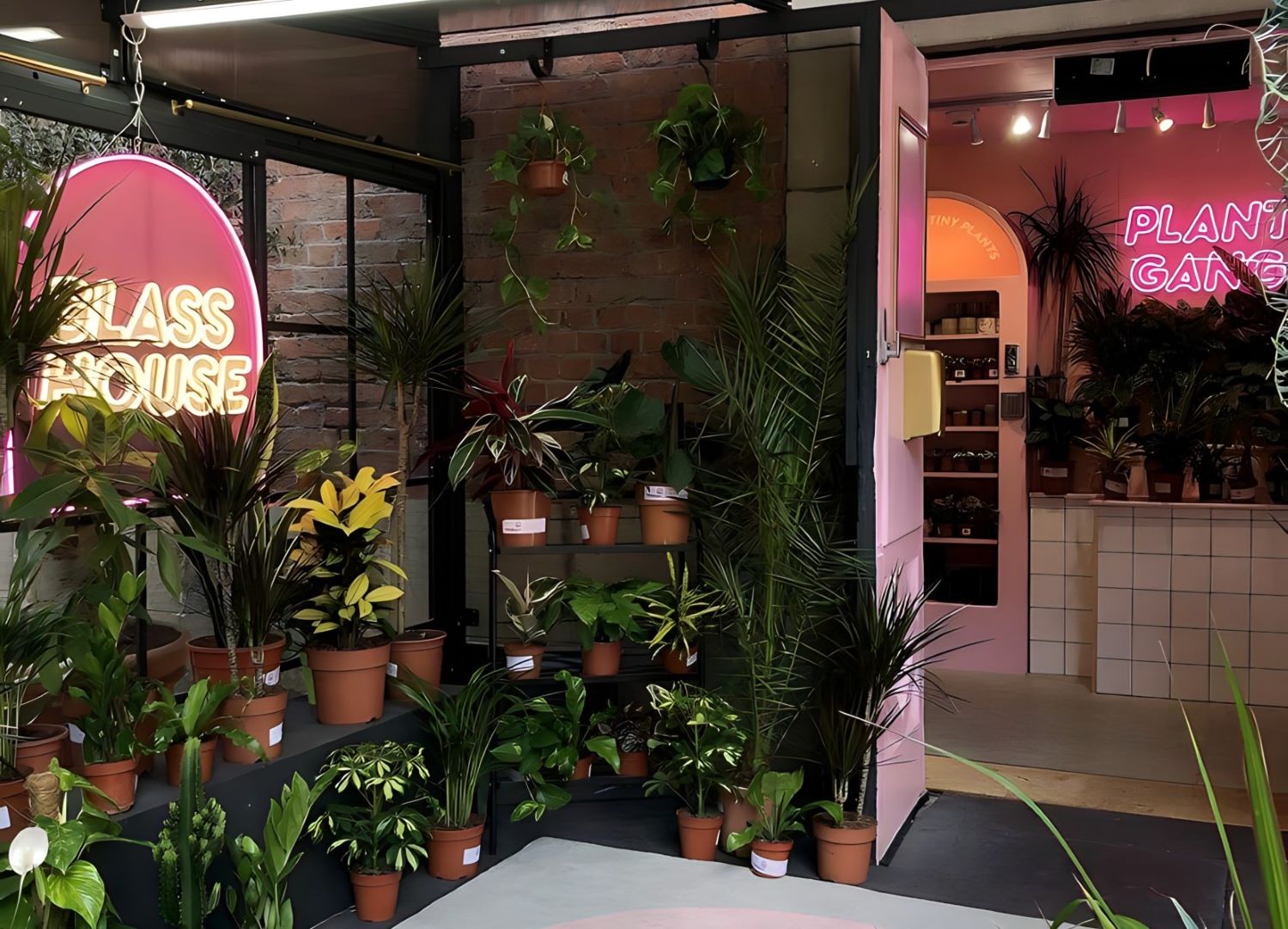 Custom Neon® UV print logo & retail signage @glass_.house