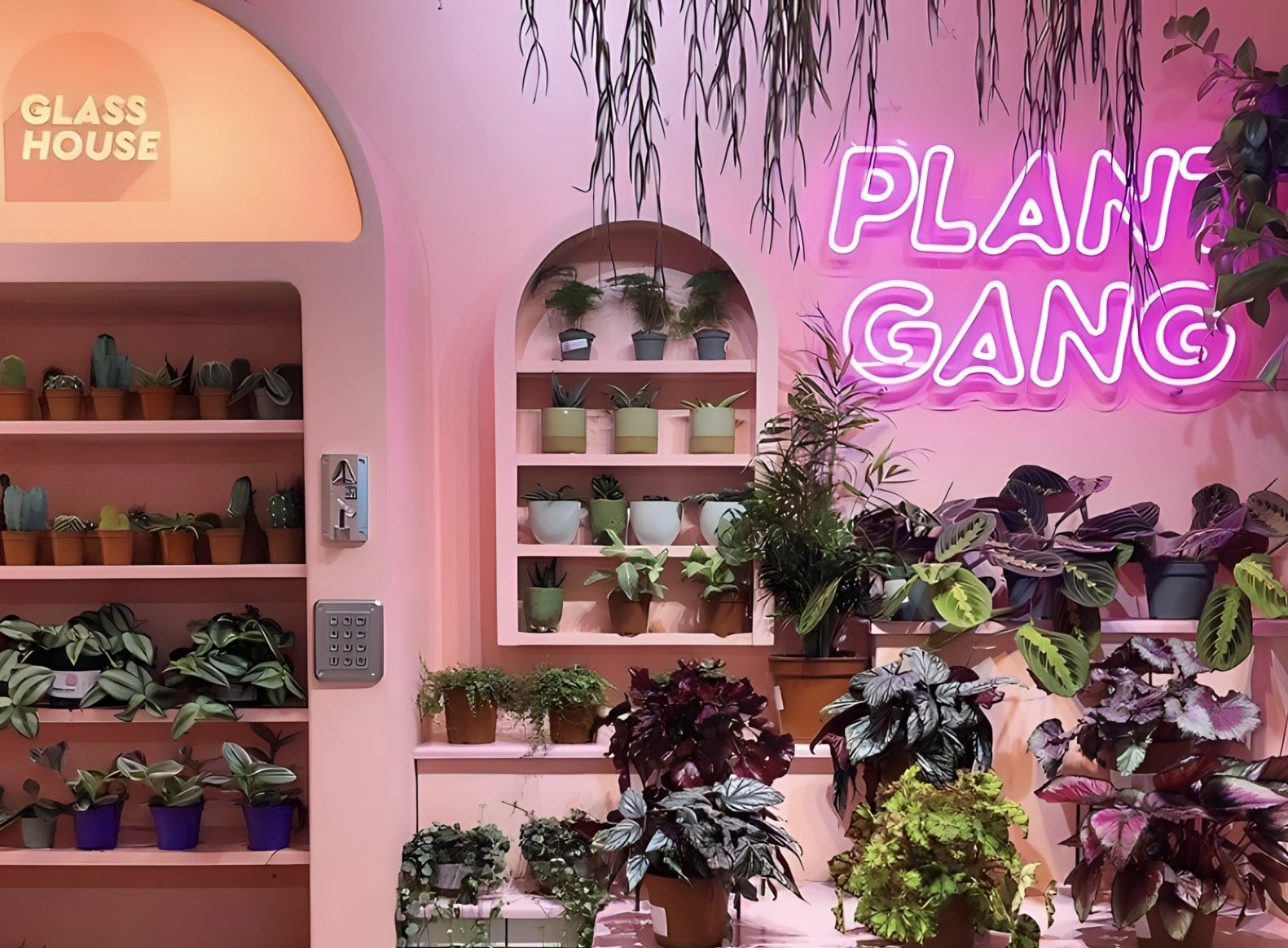 Custom Neon® pink Plant Gang sign @glass_.house