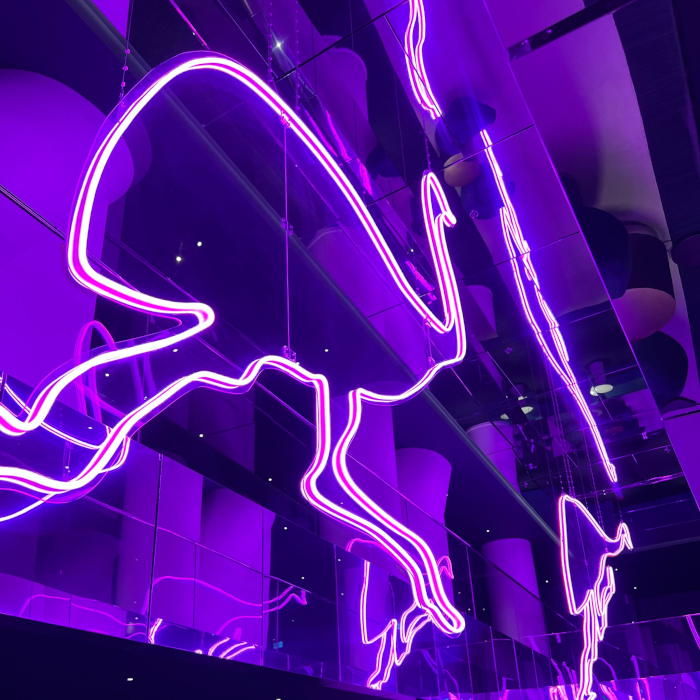 Large Custom Neon® Sydney hotel sign @wsydenyhotel