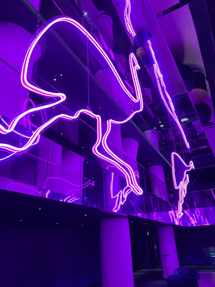 Custom Neon® made 17ft tall suspended neon artwork of emus hanging over the foyer @wsydneyhotel