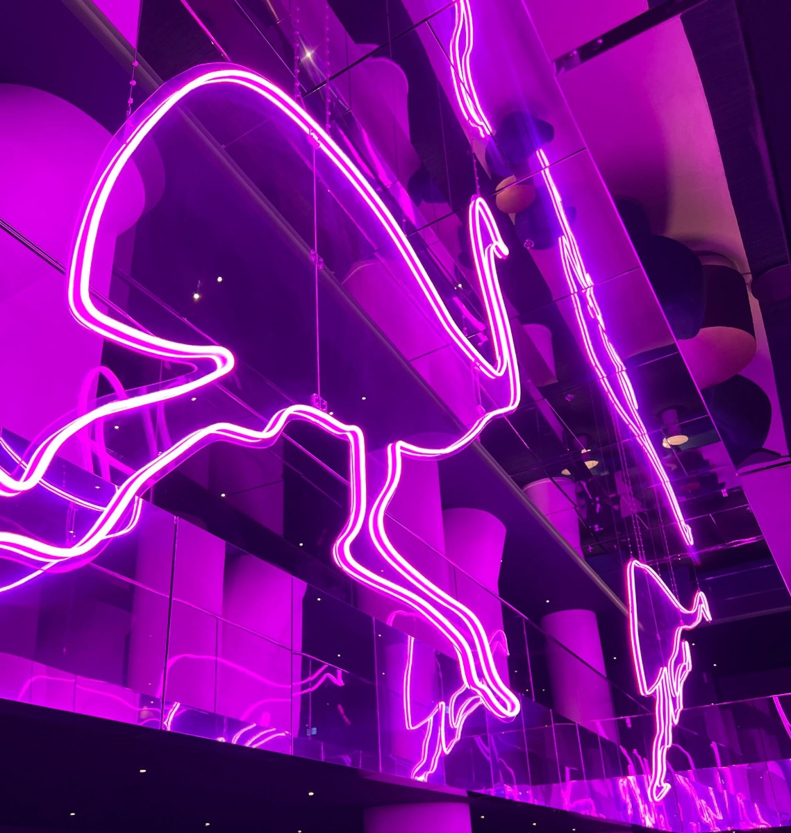 Custom Neon&reg; doublesided pink Emu art installation suspended from the ceiling @wsydneyhotel in Darling Harbour, Sydney
