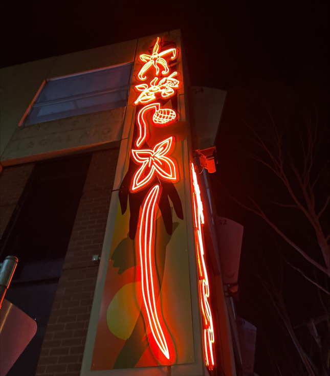 Orange floral artwork called Bright Blooms designed by @george_rose and made by Custom Neon®