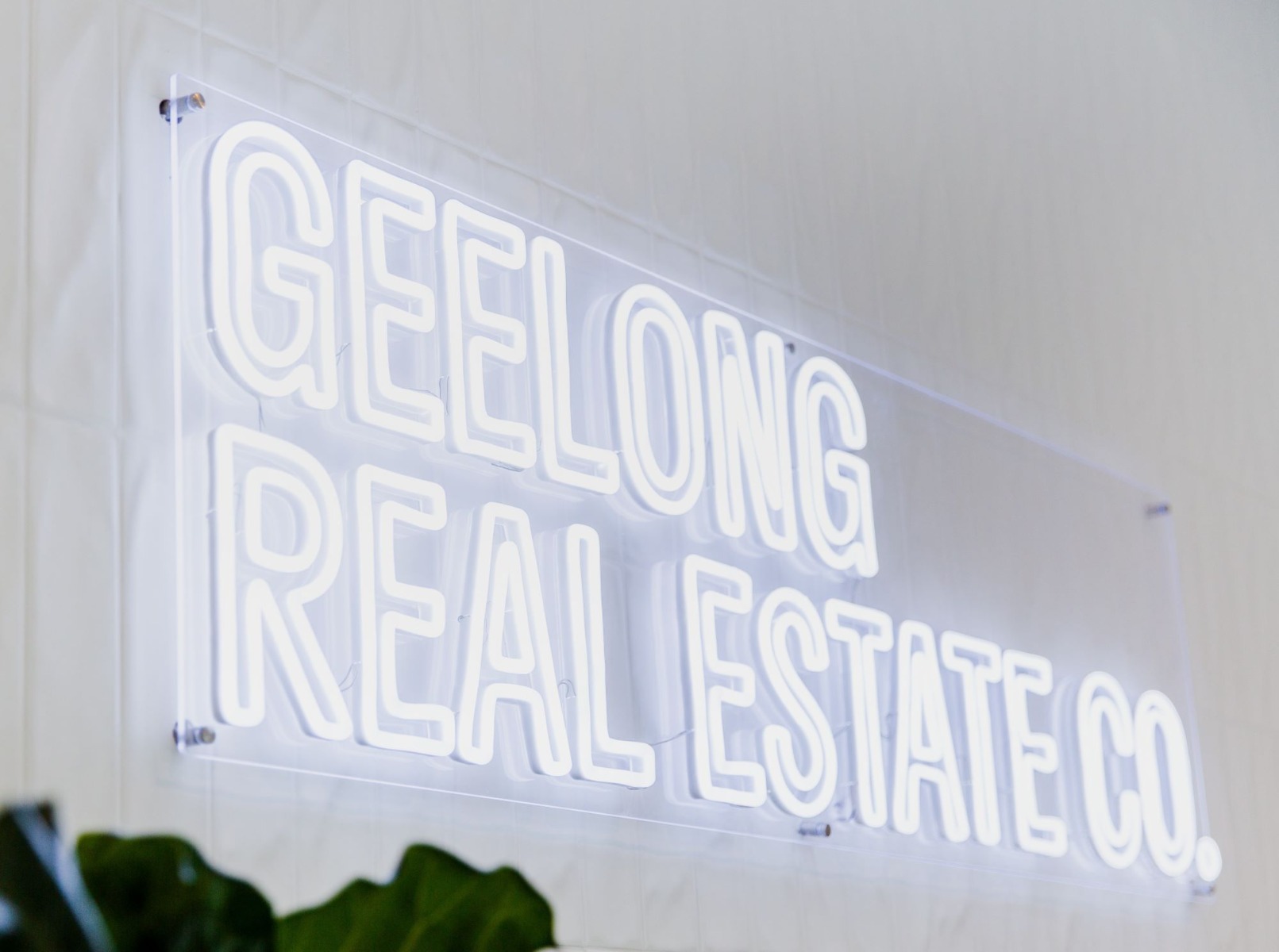 Custom Neon® white LED sign on clear rectangle backboard @geelongrealestateco