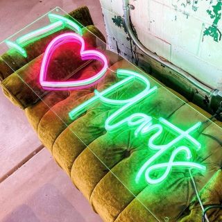 Pink & green Custom Neon® sign on clear rectangle backboard @growgiesenplantshop