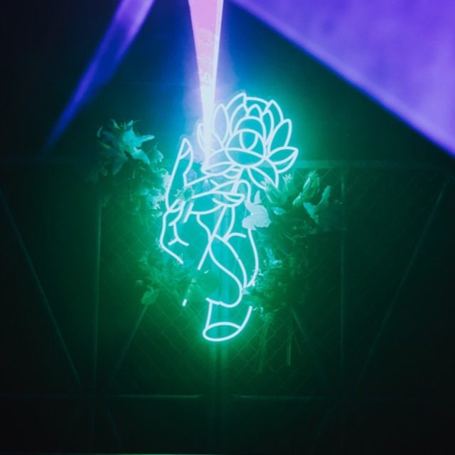 Green Instagrammable feature wall sign by Custom Neon® @wldflwr.co