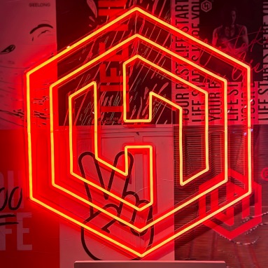 Custom Neon® office logo @lifehubau