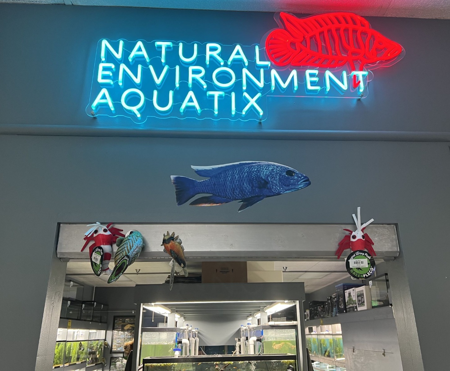 Custom Neon® red and blue in-store signage @naturalenvironmentaquatix