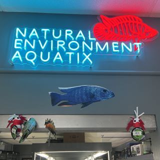Tropical blue Custom Neon® retail logo