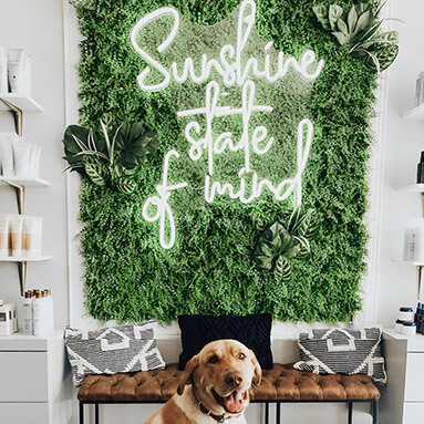 Custom Neon™ quote sign on grasswall in hair salon