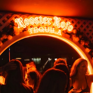 Custom Neon® Rooster Roja Tequila sign inside @caballitosperth