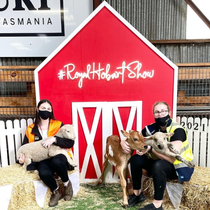 Custom Neon® hashtag festival sign @royalhobartshow