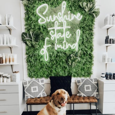 Sunshine State of Mind white LED Custom Neon® sign on grasswall in a hair salon
