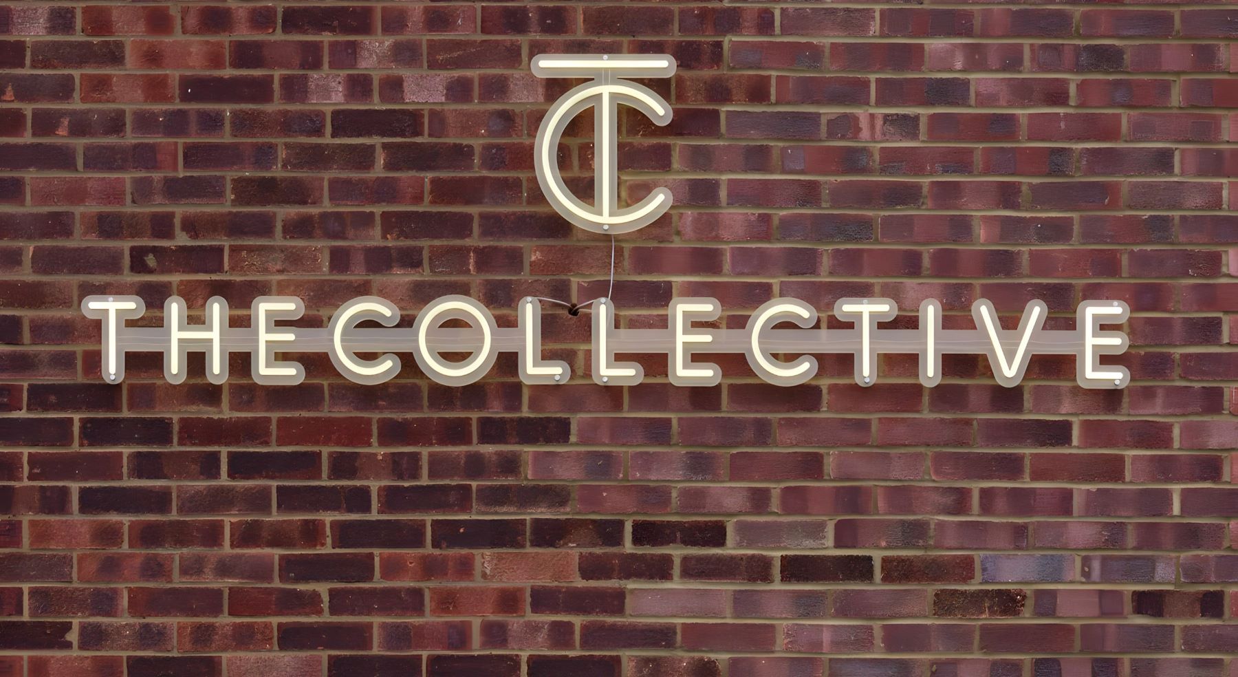 Custom Neon® warm white company name on outside brick wall @thecollective.agency