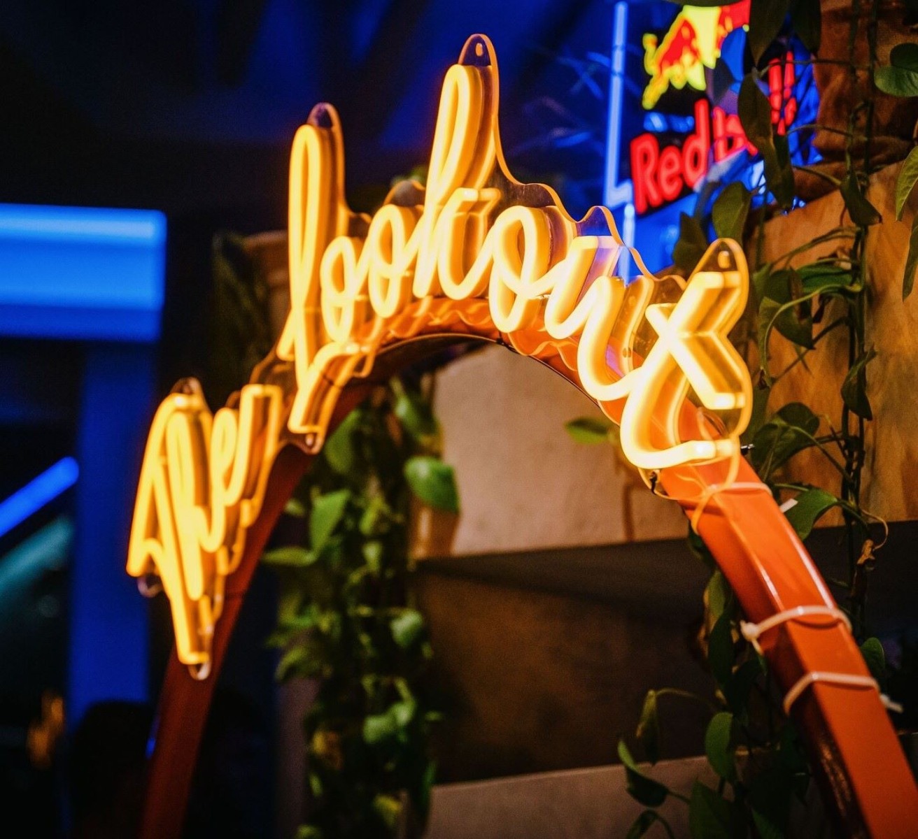 Custom Neon® sign cable tied to an arch with floral decor @thelookout