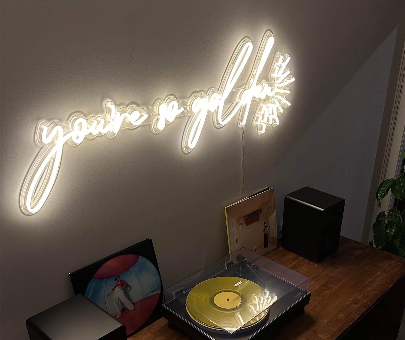 You're So Golden Harry Styles lyric as a warm white LED neon sign by Custom Neon® @sarahduggan